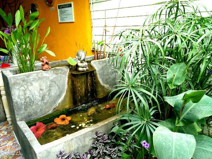 Yin Yang Guesthouse Chiang Mai Ngoại thất bức ảnh
